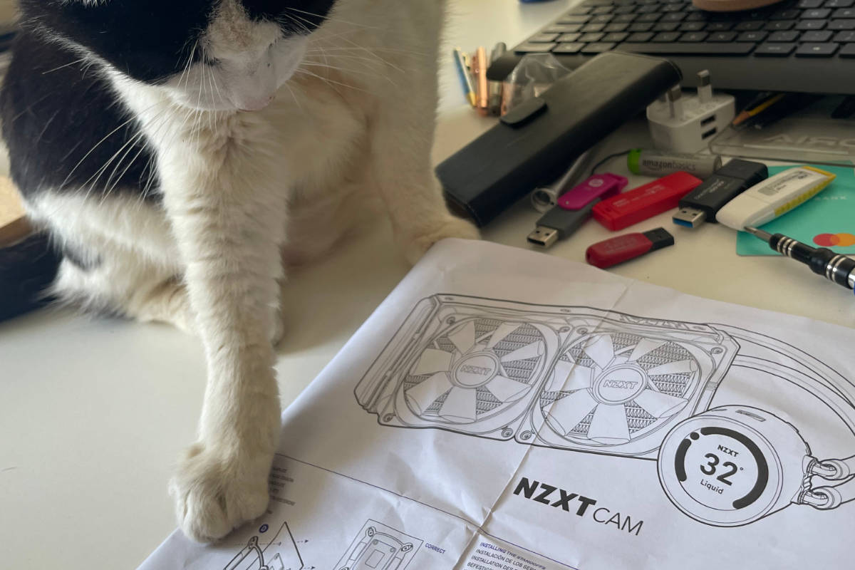 Jack the cat is helping with the manual